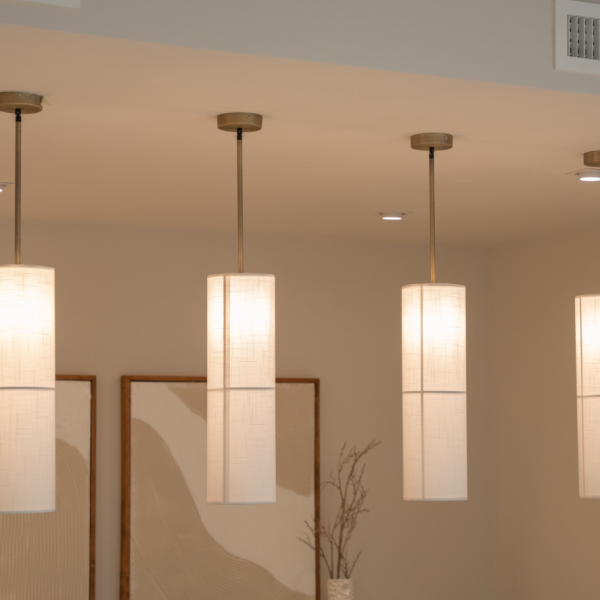 Dimmer Switch & Light Fixture Installation Package